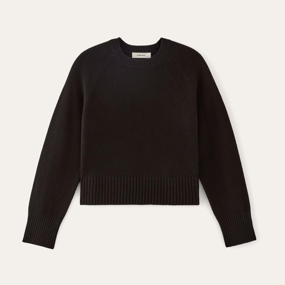 Everlane The Boxy Crew Sweater in Cashmere